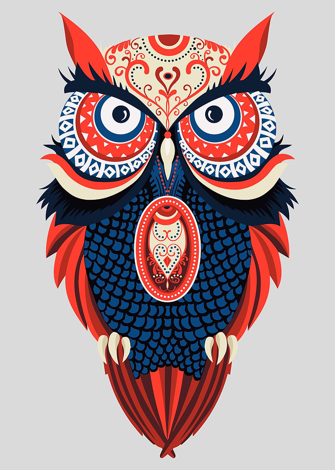 Colorful Owl Bird