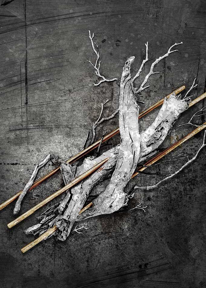 Black wood