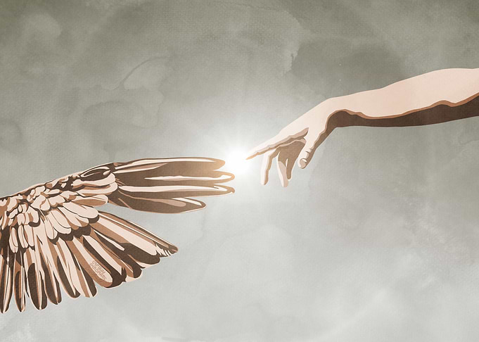 The creation of bird