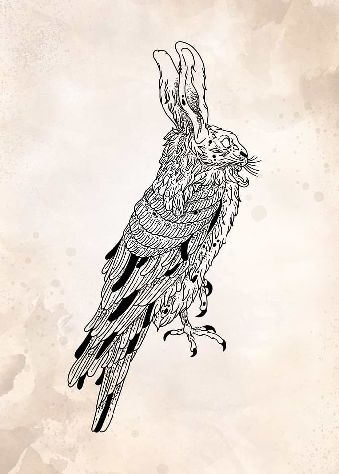 bunny bird