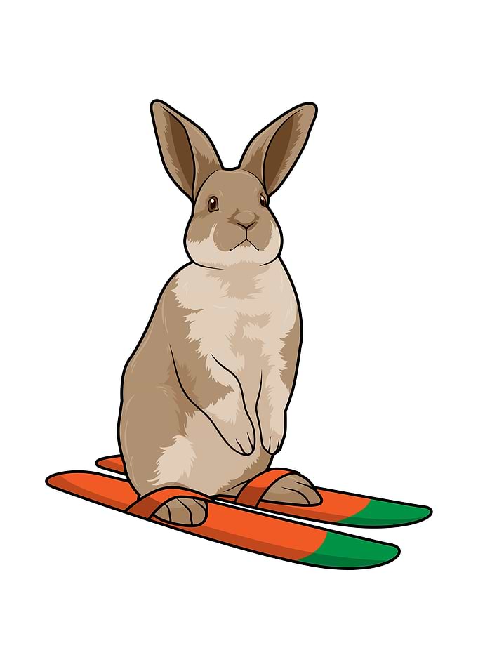 Rabbit Skier Ski