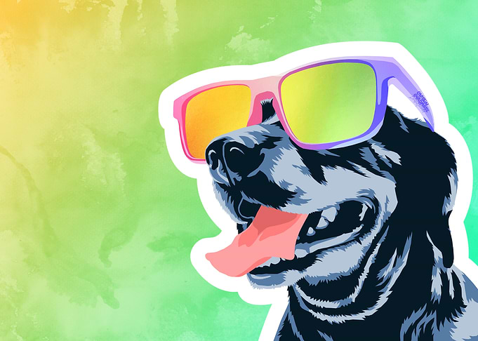 Cool dog with sunglasses