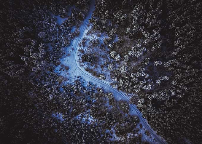 Winter