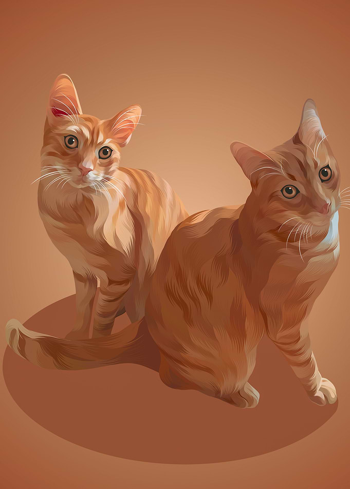 Twin Orange Cat