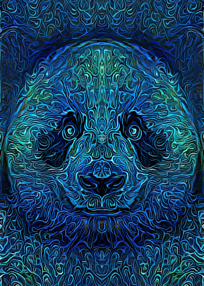 Panda Hypnotic Art