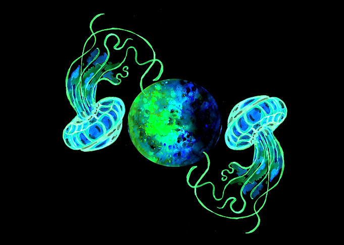 Turquoise Moon Jellyfish