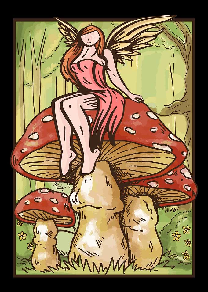 Mushroom Fairycore Elf