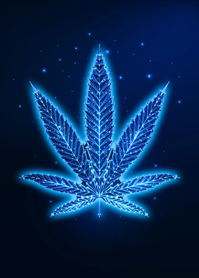 Weed Ganja Cannabis