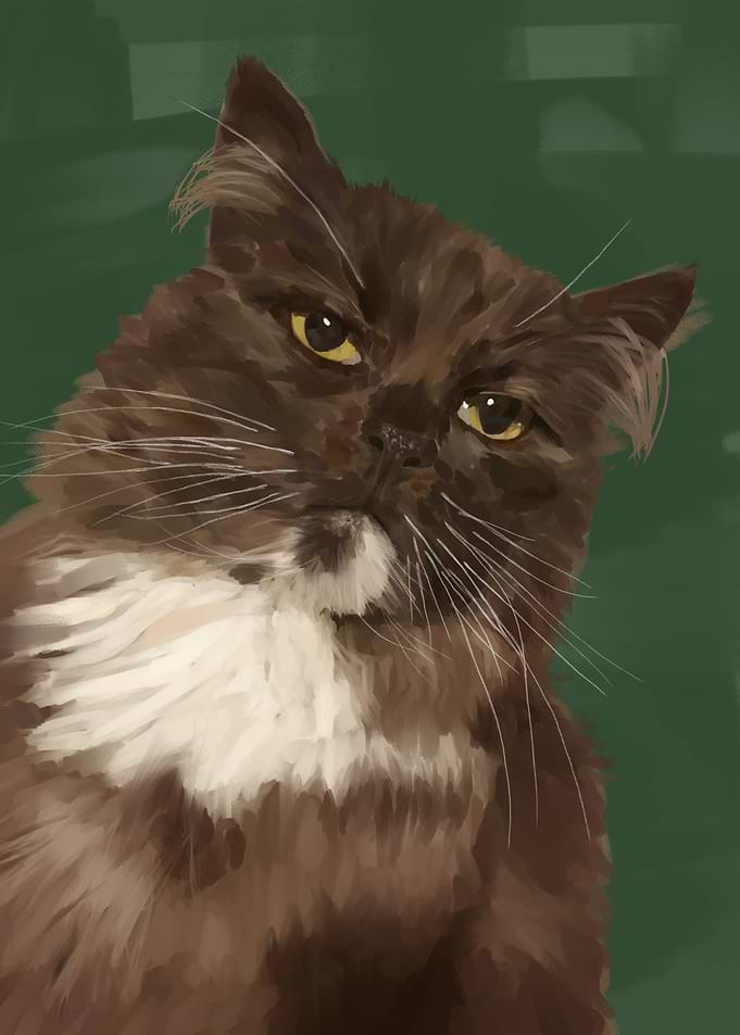 Cat Green Background