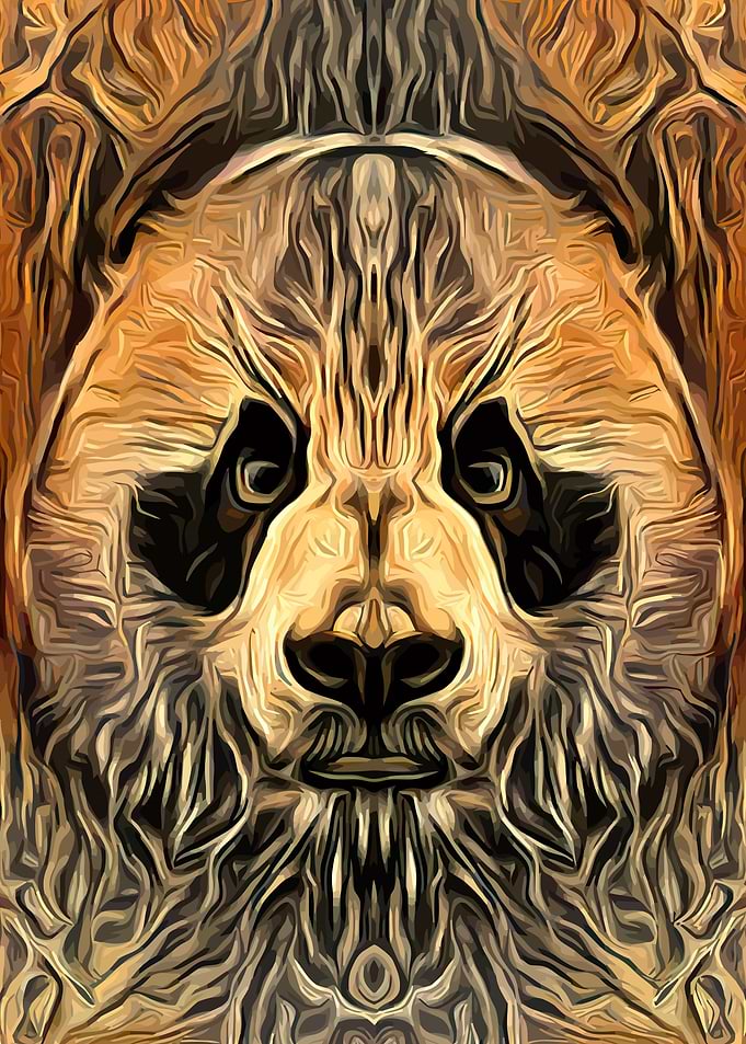 Panda Vintage Abstract