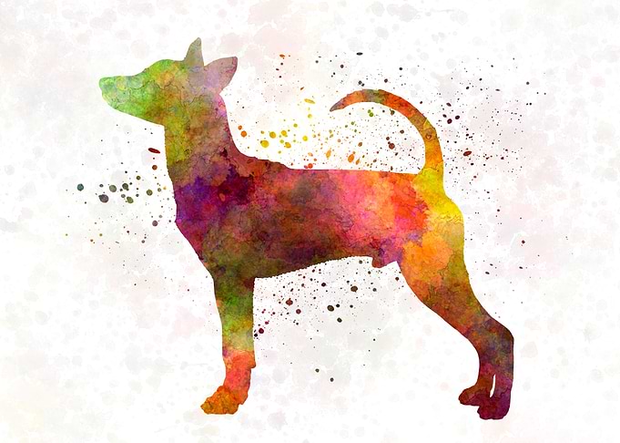 Taiwan Dog in watercolor