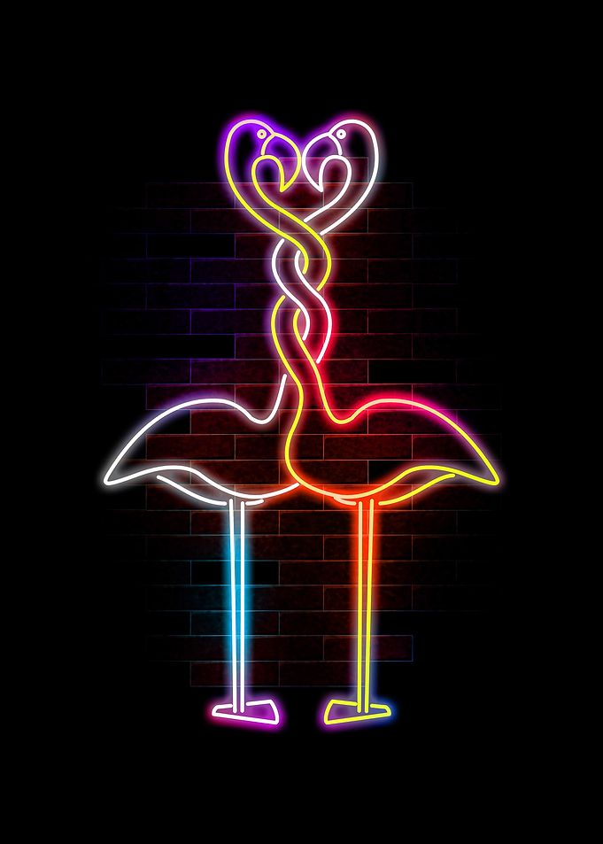 flamingos