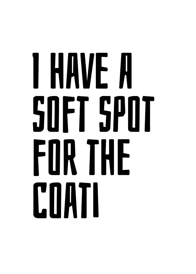 soft spot for the coati