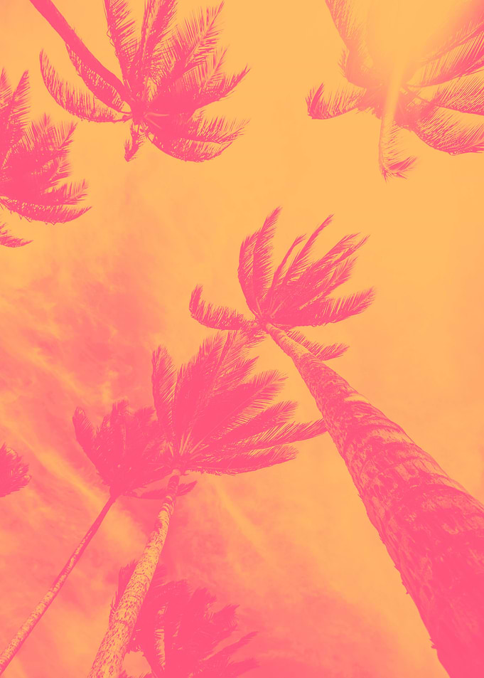 Warm Palms