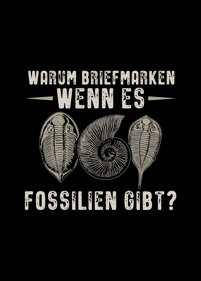 Fossil Collection Gifts