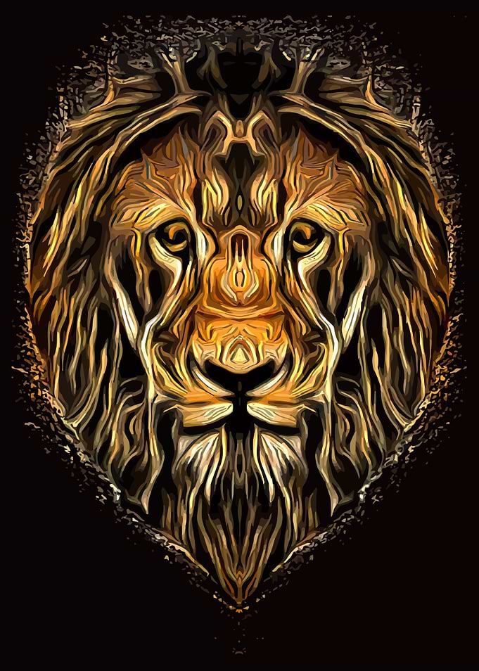 Lion Head African
