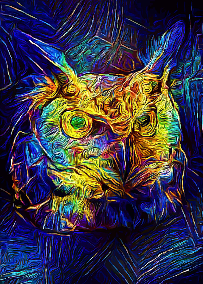 Owl Flaming Night