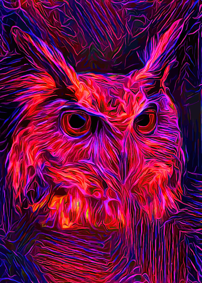 Owl Fantasy Portrait