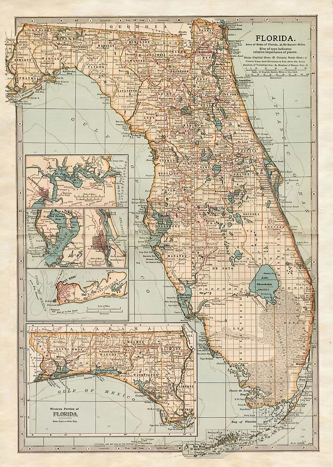 FLORIDA PORTRAIT