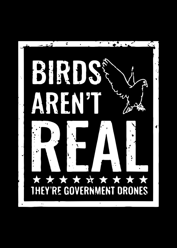 birds