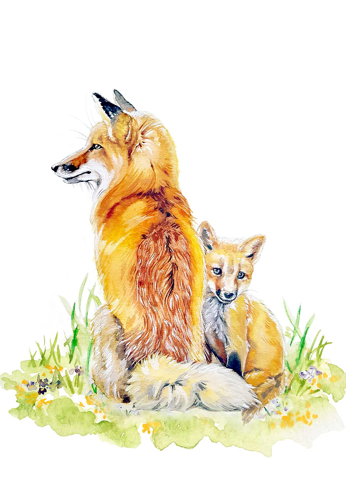 Fox with Pup