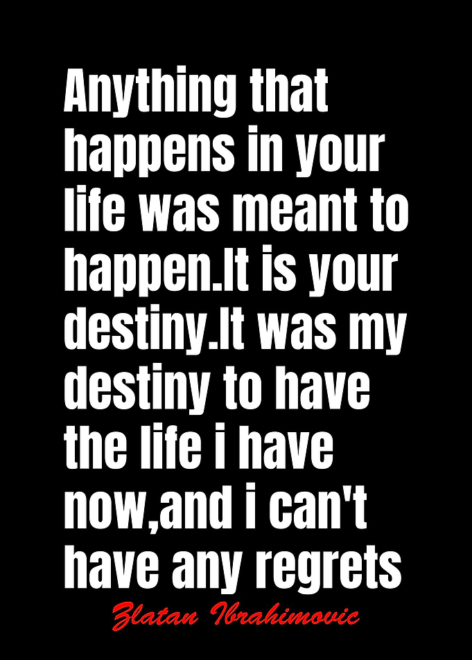 Zlatan Ibrahimovic Quotes