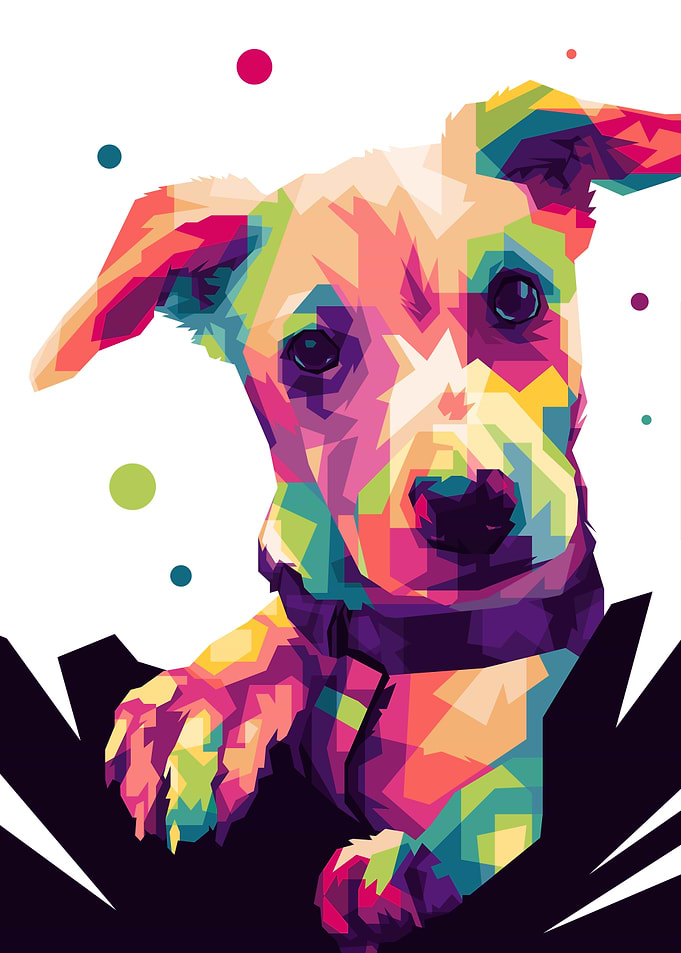 Jack Russell Terrier Dog