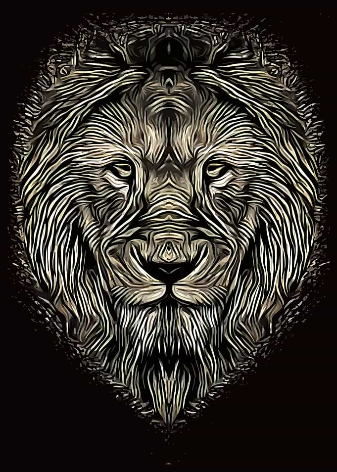 Lion Head Abstract