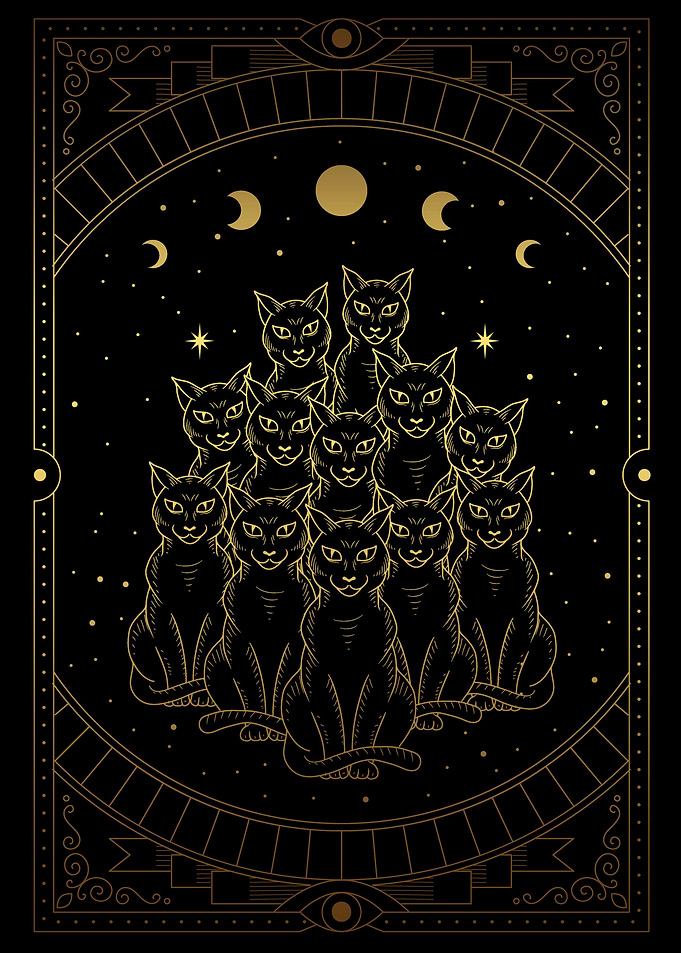 magical black cats