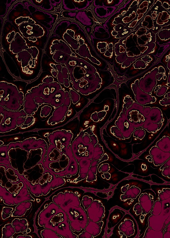 Burgundy Gold Marble 06