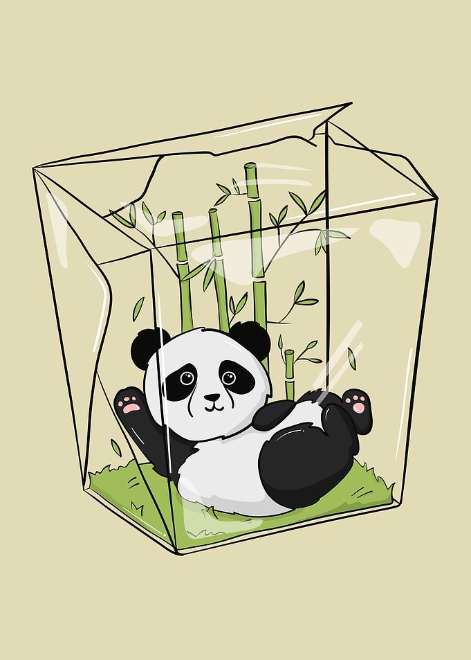 Funny Panda Bear in Box
