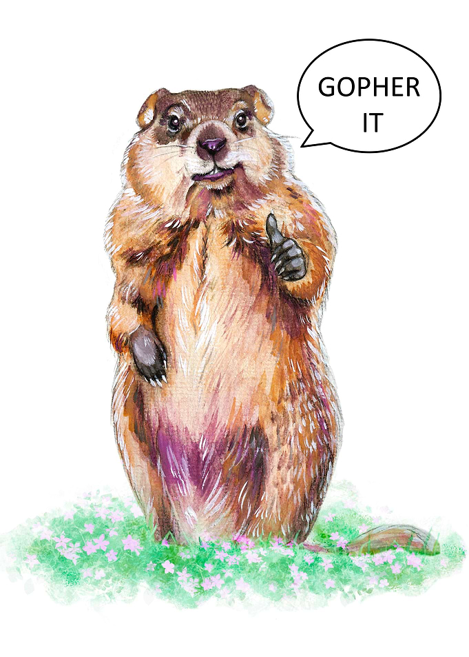 Motivational Gopher