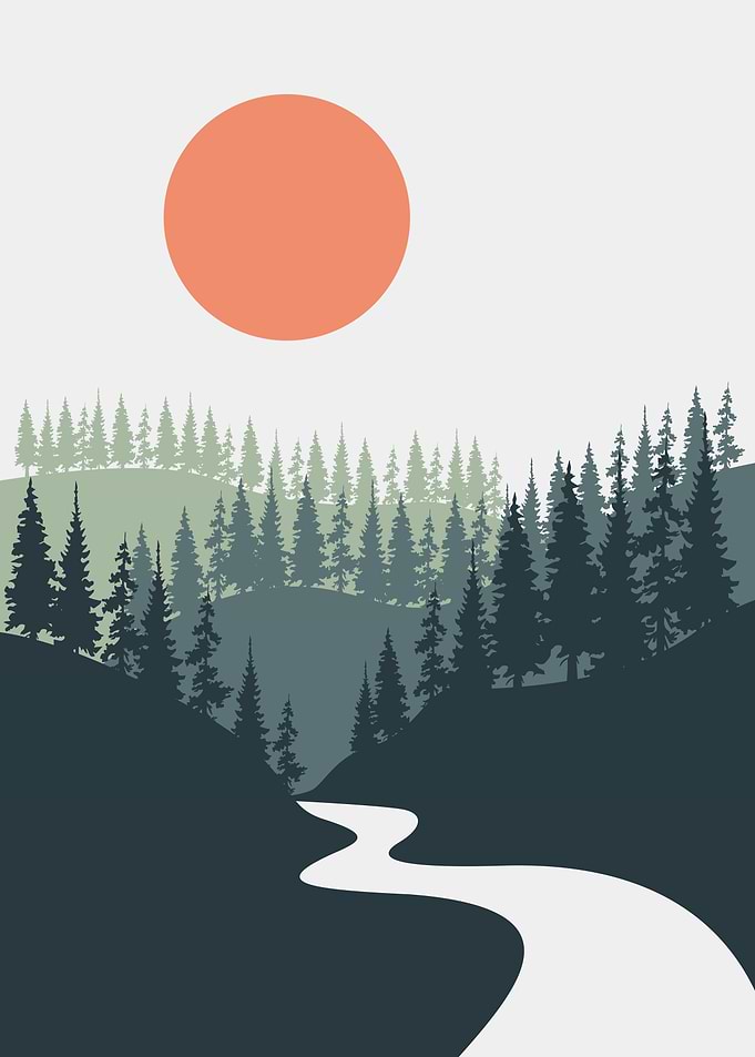 Nature Pine tree poster