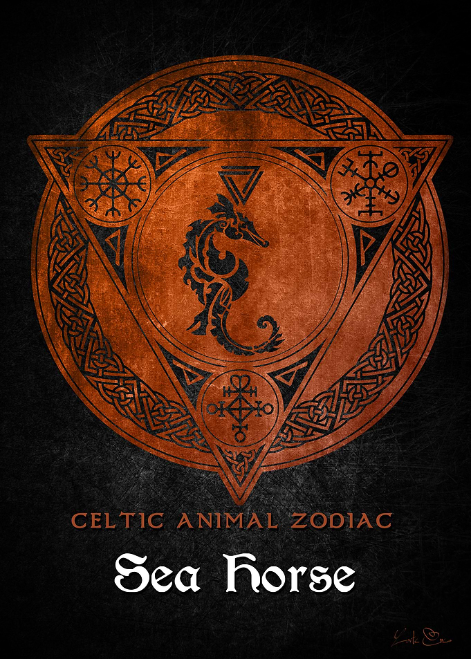 Sea horse Viking zodiac