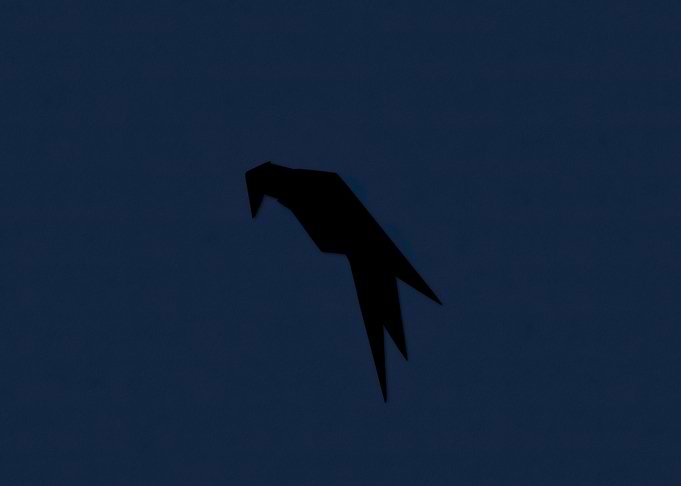 Minimalist Parrot OS