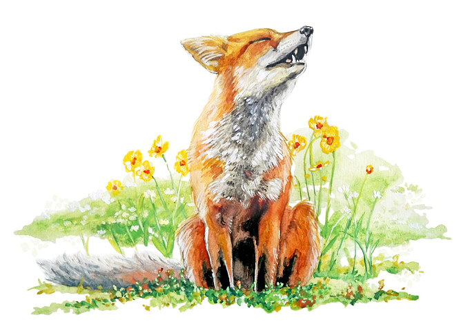 Fox in the Breeze