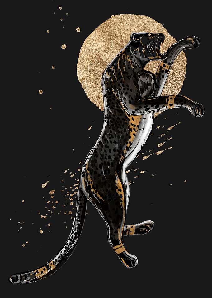 Cheetah