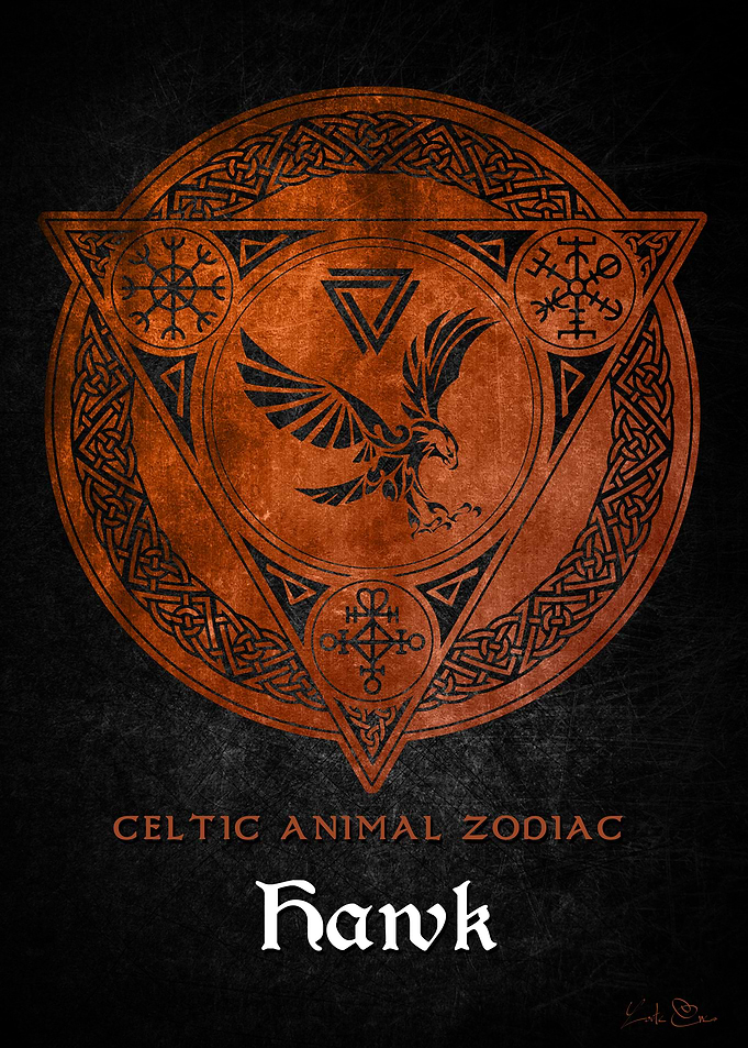 Hawk Viking zodiac sign