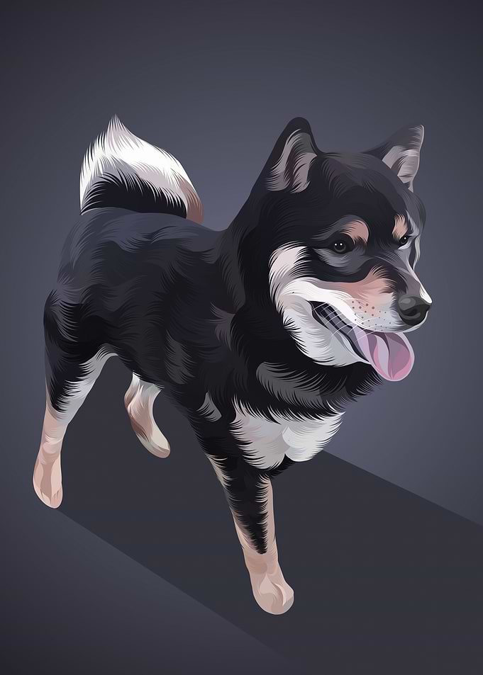 Animal 2