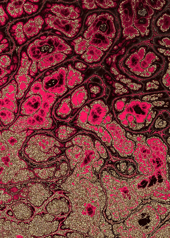 Burgundy Gold Marble 14