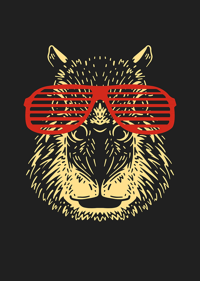 Capybara Sunglasses