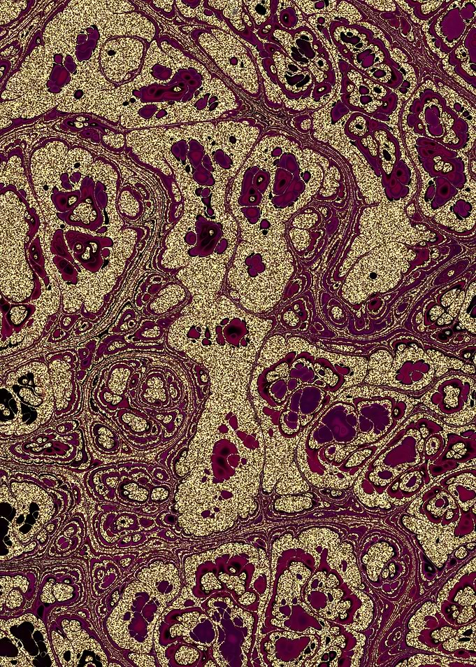 Burgundy Gold Marble 13