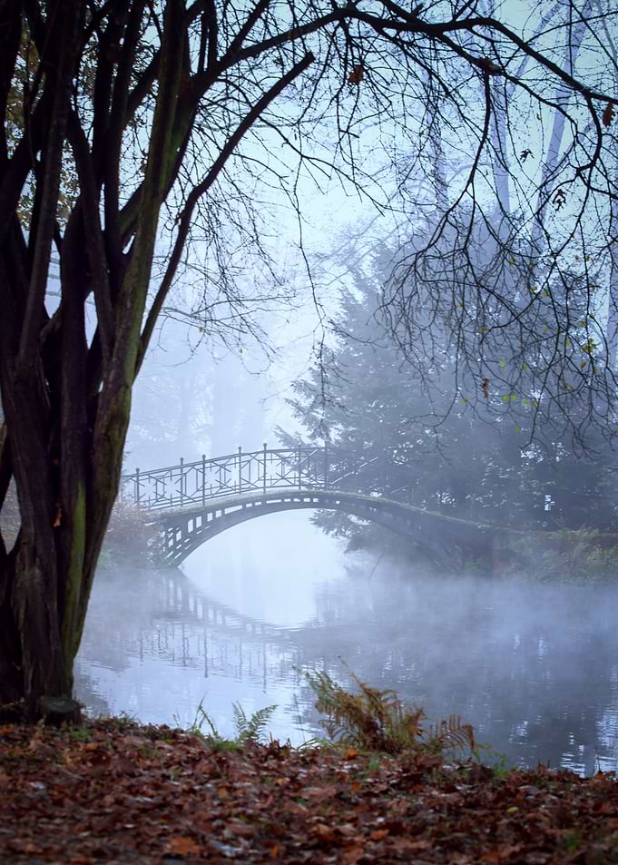 Autumn foggy lake in park