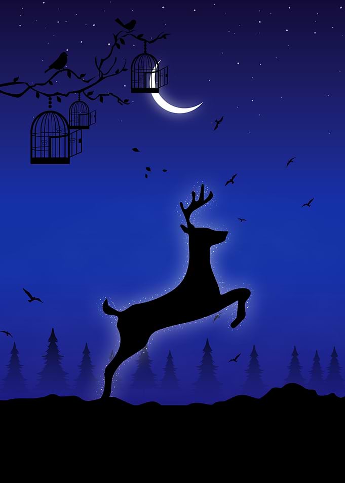 Animal Dear