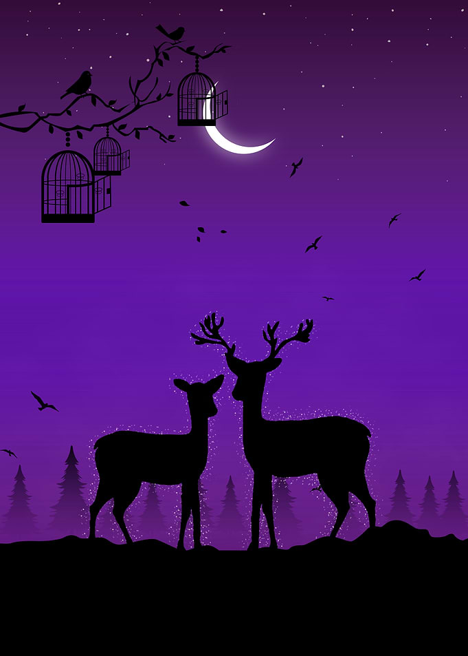 Animal Dear