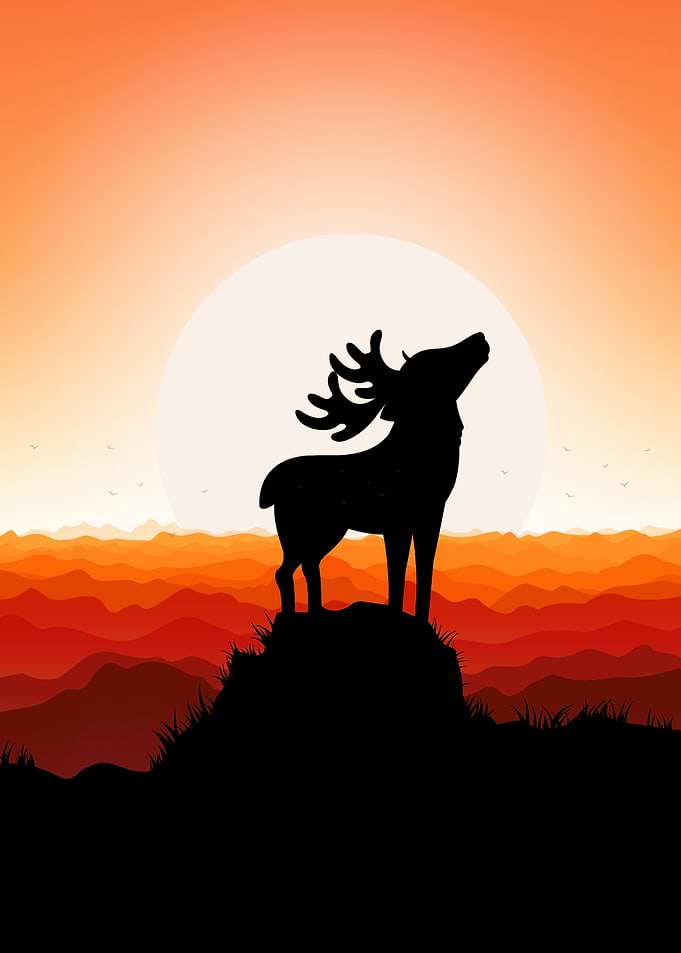Deer Caribou Cute Animal