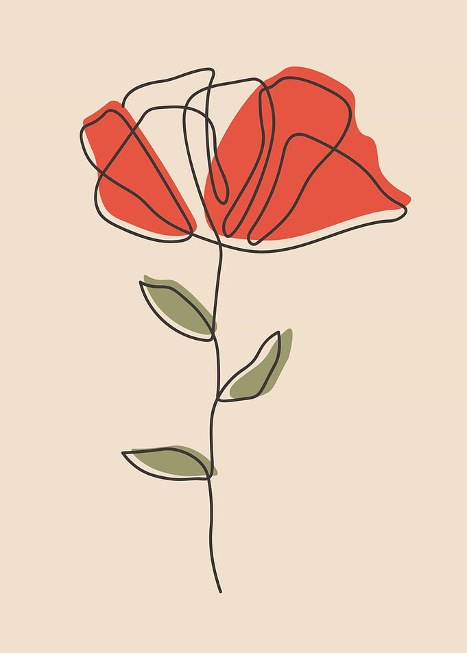 Botanical floral line art