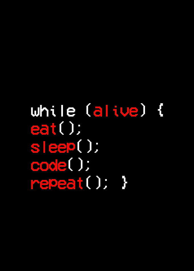 Programmer Funny Wall Art