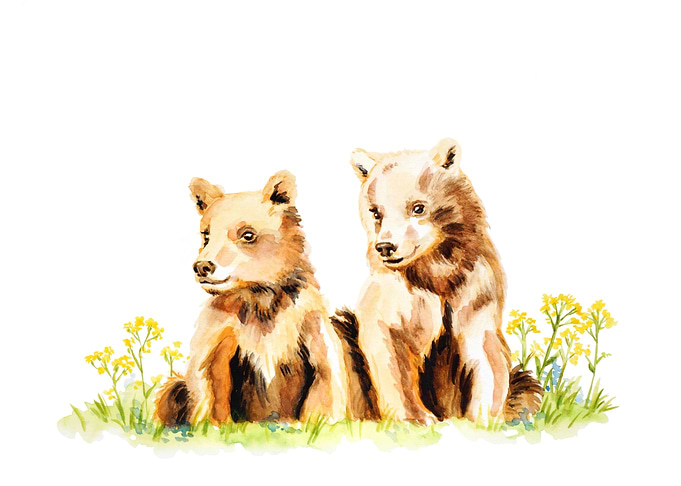 Bear Cubs
