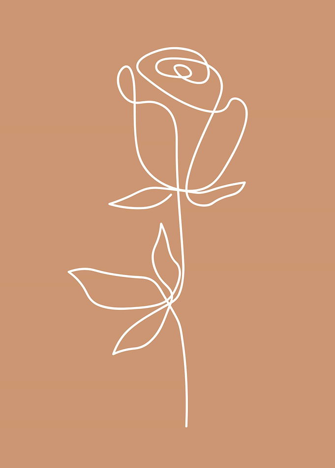 Rose Flower one line art
